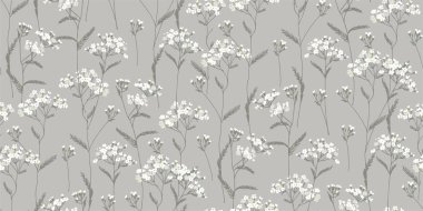 Achillea Millefolium. Beyaz, kır çiçekleri. İlaç fabrikası. Yabani çiçek. Botanik illüstrasyon.
