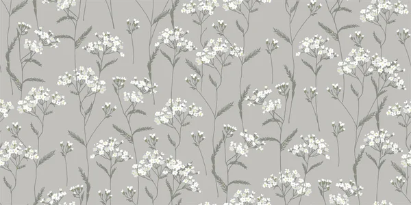 Achillea Millefolium. Beyaz, kır çiçekleri. İlaç fabrikası. Yabani çiçek. Botanik illüstrasyon.