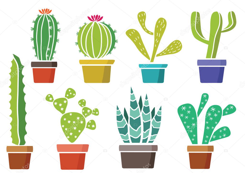 Cacti in a pot. Colorful set.