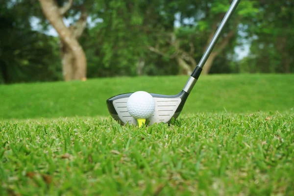 Golf club and golf ball close up in grass field with sunset. Gol — Stock Photo, Image