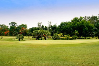 Akşam golf sahasında güneş ışığı var.