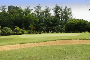 Akşam golf sahasında güneş ışığı var.