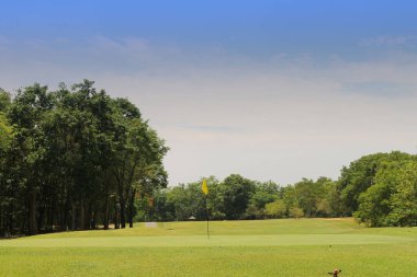 Akşam golf sahasında güneş ışığı var.