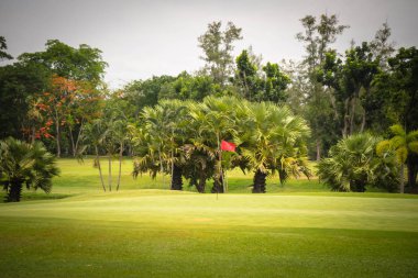 Akşam golf sahasında güneş ışığı var.