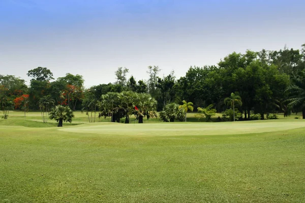 Wieczorne pole golfowe jest oświetlone światłem słonecznym na polu golfowym — Zdjęcie stockowe