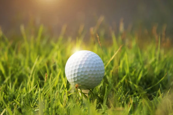 Golfbal op groen gras in prachtige golfbaan bij zonsondergang terug — Stockfoto