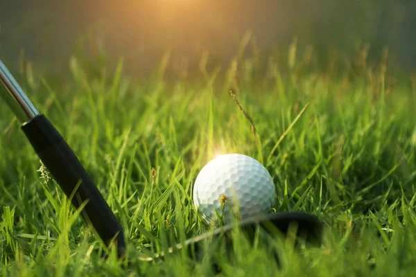 Golf club e pallina da golf su erba verde nel campo da golf serale — Foto Stock