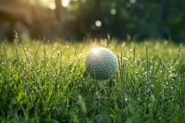 Bola de golfe no tee em belo campo de golfe ao pôr do sol fundo. — Fotografia de Stock