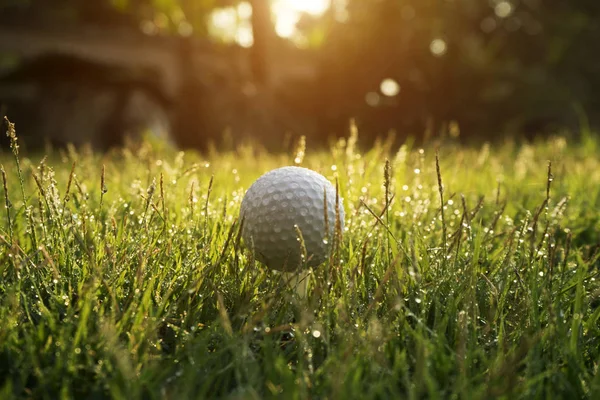 Golfbal op groen gras in prachtige golfbaan bij zonsondergang terug — Stockfoto