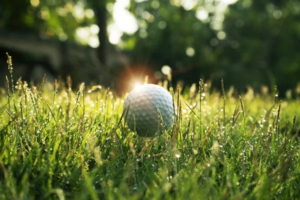 Bola de golfe na grama verde em belo campo de golfe ao pôr do sol de volta — Fotografia de Stock