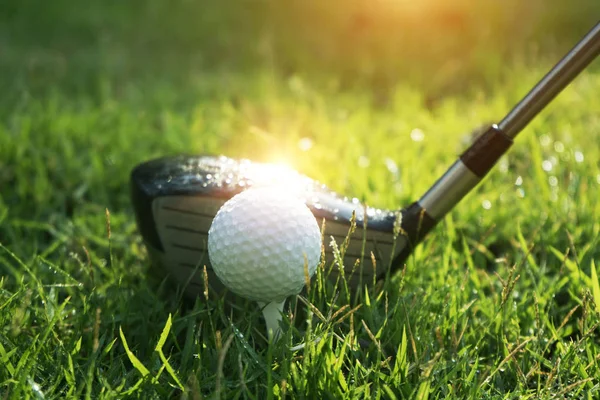 М'яч для гольфу на зеленій траві в красивому полі для гольфу на заході сонця назад — стокове фото