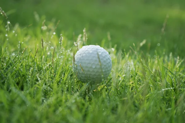 Bola de golfe na grama verde em belo campo de golfe ao pôr do sol de volta — Fotografia de Stock