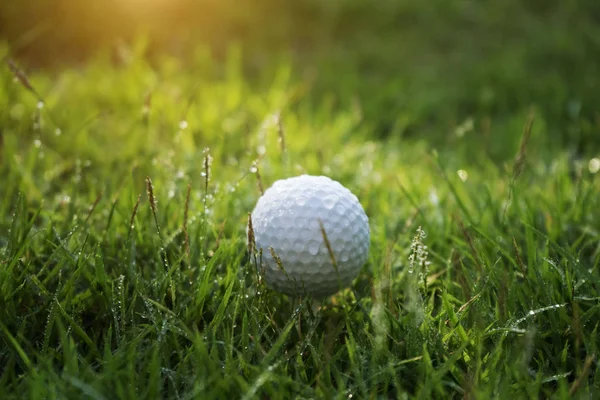 Golfboll på grönt gräs i vacker golfbana vid solnedgången tillbaka — Stockfoto