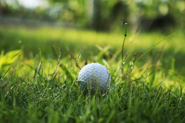 Piłka golfowa na zielonej trawie w pięknym polu golfowym o zachodzie słońca — Zdjęcie stockowe