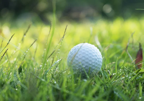 Golfbal op groen gras in prachtige golfbaan bij zonsondergang terug — Stockfoto