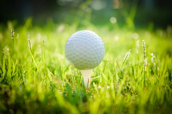 Pelota de golf en tee en hermoso campo de golf al atardecer fondo. —  Fotos de Stock