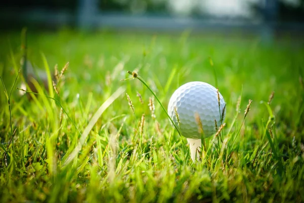 Golf ball on tee in beautiful golf course at sunset background. — Stock Photo, Image