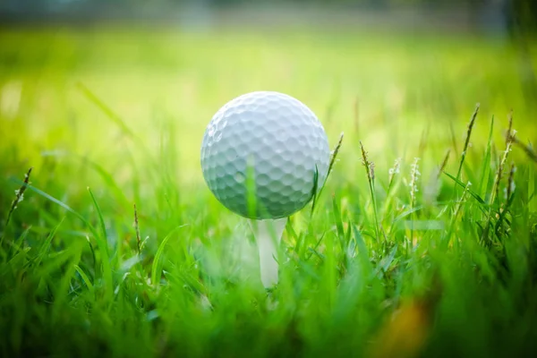 Pelota de golf en tee en hermoso campo de golf al atardecer fondo. —  Fotos de Stock