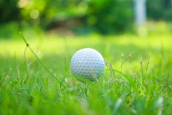 Pelota de golf en tee en hermoso campo de golf al atardecer fondo. — Foto de Stock