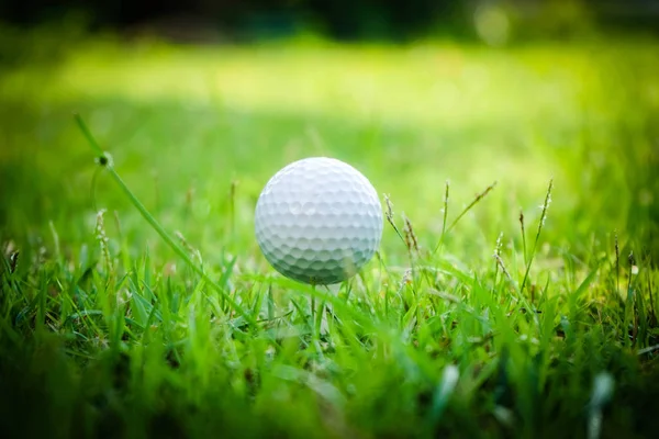 М'яч для гольфу на трійнику в красивому полі для гольфу на фоні заходу сонця . — стокове фото