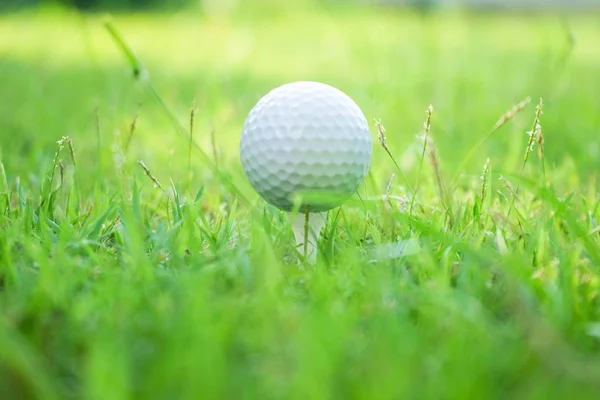 Pelota de golf en tee en hermoso campo de golf al atardecer fondo. —  Fotos de Stock