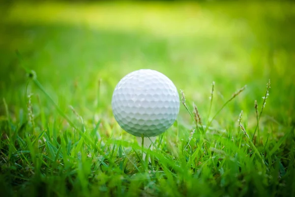 Pelota de golf en tee en hermoso campo de golf al atardecer fondo. — Foto de Stock