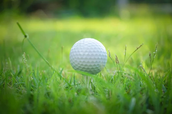 Pelota de golf en tee en hermoso campo de golf al atardecer fondo. —  Fotos de Stock