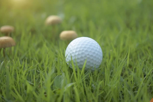 Balonmano de golf en el tee en el hermoso campo de golf en Tailandia. Coltio —  Fotos de Stock