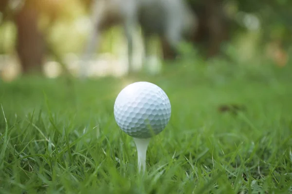 Pelota de golf en tee en hermoso campo de golf al atardecer fondo. —  Fotos de Stock