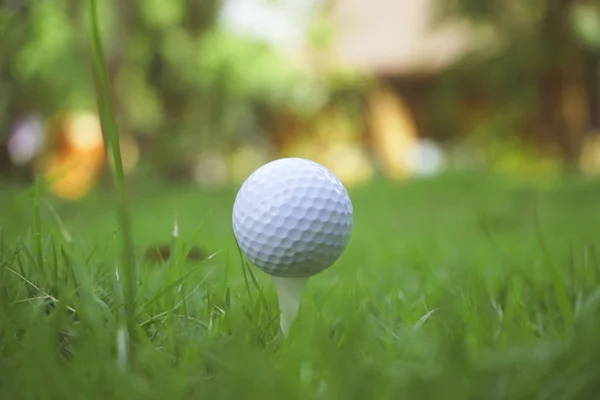 Golfbal op tee in prachtige golfbaan bij zonsondergang achtergrond. — Stockfoto