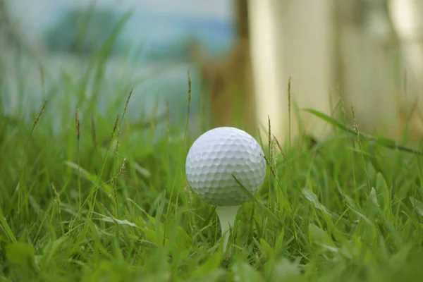 Pelota de golf en tee en hermoso campo de golf al atardecer fondo. — Foto de Stock
