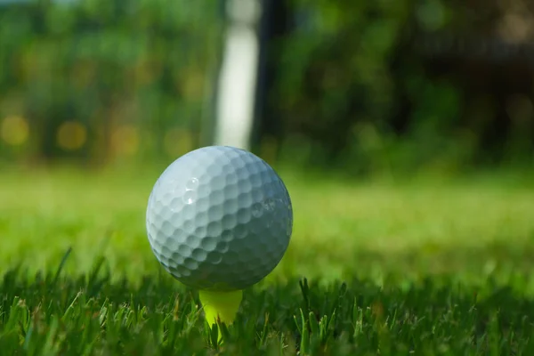 Golfboll Tee Kvällen Golfbana Med Solsken Bakgrund — Stockfoto