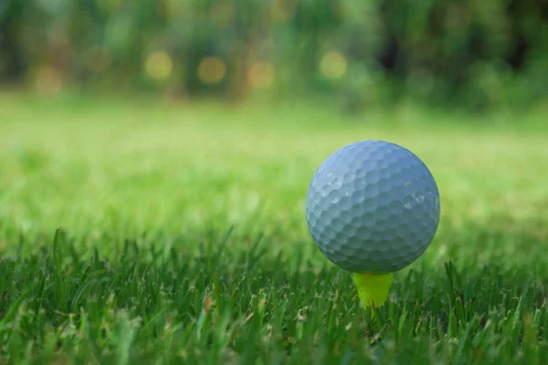 Golfbal Tee Avond Golfbaan Met Zonnige Achtergrond — Stockfoto
