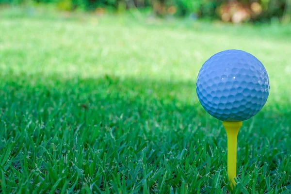Golfball Auf Dem Abschlag Abend Golfplatz Mit Sonnenschein Hintergrund — Stockfoto