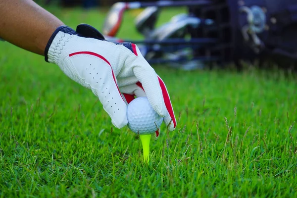 Golfhandschuh Hand Halten Golfball Mit Dem Abschlag Auf Einem Schönen — Stockfoto