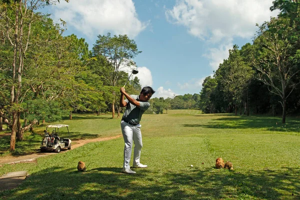 Golfista Desfocado Colocando Golfe Belo Campo Golfe Campo Golfe Noite — Fotografia de Stock