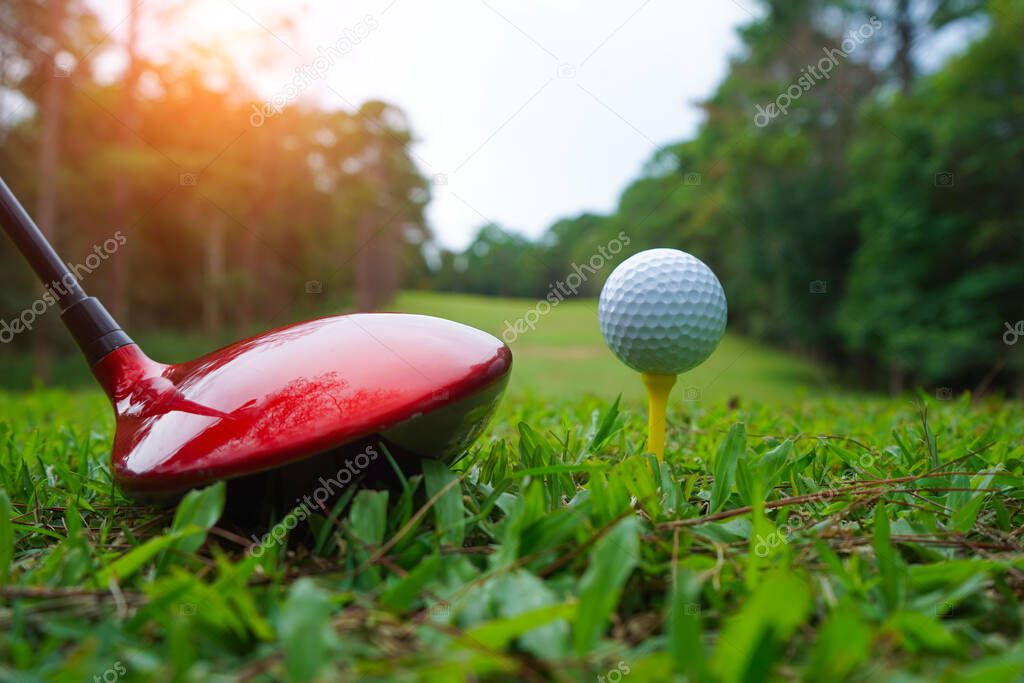 Golf ball and golf club in the beautiful golf course in Thailand. Collection of golf equipment resting on green grass with green background.                                
