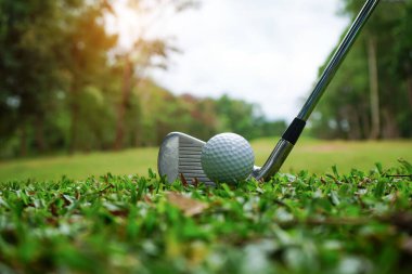 Golf topu ve golf sopası gün batımında arka planda güzel golf sahasında..                               