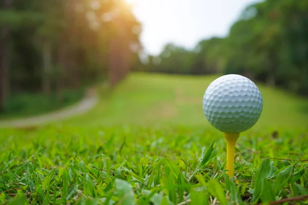 Golfboll Tee Kvällen Golfbana Med Solsken Bakgrund — Stockfoto