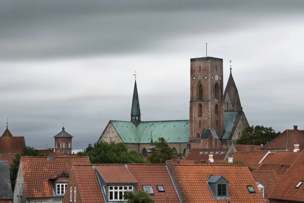 Ribe katedral eski şehir kırmızı çatılar görülen Danimarka uzun pozlama