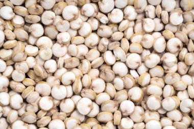 Tam kare kapsayan quinoa tohumları yakın çekim