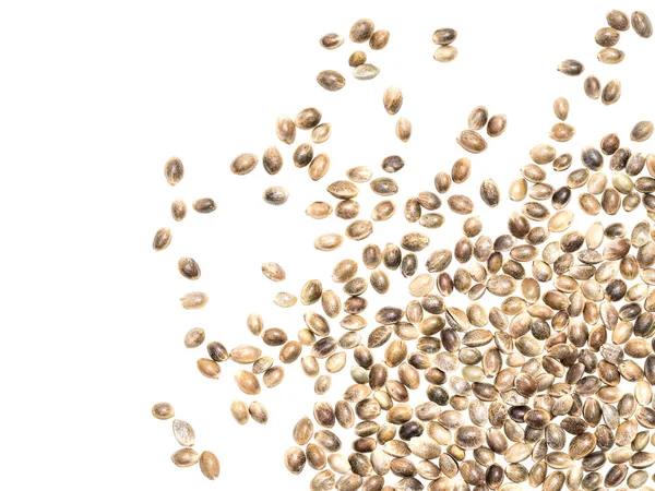 Close Some Hemp Seeds Spread Out Lower Right Corner Isolated — Stock Photo, Image