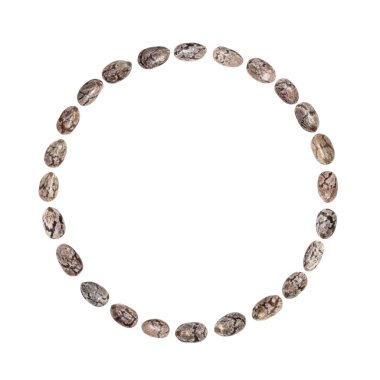 Beyaz arka plan üzerinde izole bir daire şeklinde düzenlenmiş chia tohum