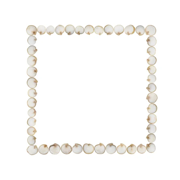 Single White Pearl Isolated On White Background Stock Photo