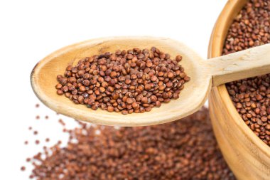Tahta kaşık kadar yakın ve eğik yukarıda da görüleceği kırmızı quinoa tohumlar beyaz arka plan ile kase