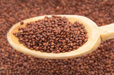 Eğik yukarıda bir bulanık quinoa tohum arka planda da görüleceği bir tahta kaşık kırmızı quinoa tohumları