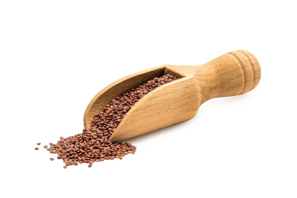 Small Wooden Spoon Scoop Red Quinoa Seeds Seen Side Isolated — Stock Photo, Image