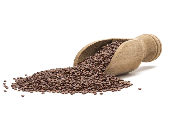 Szufelka z nasion quinoa — Zdjęcie stockowe
