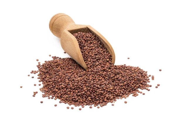Lopatka s quinoa semena — Stock fotografie