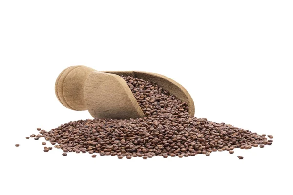 Lopatka s quinoa semena — Stock fotografie